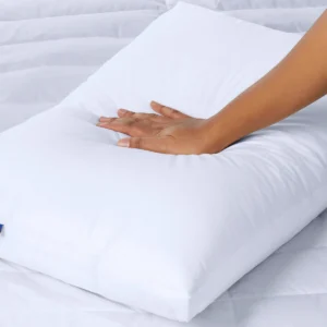 Down Pillow Double Pack