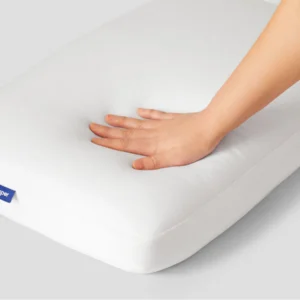 Foam Pillow with Snow Technology