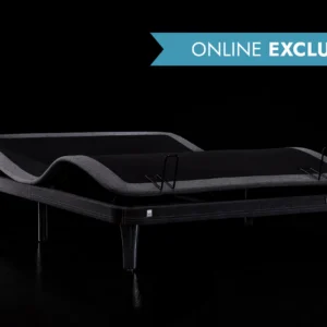 ErgoSportive Smart & Adjustable Bed