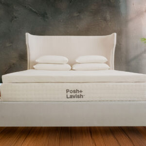 AuNaturale Chic 3" True Pillow Top