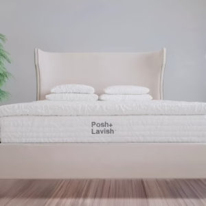 Providence 3" True Pillow Top